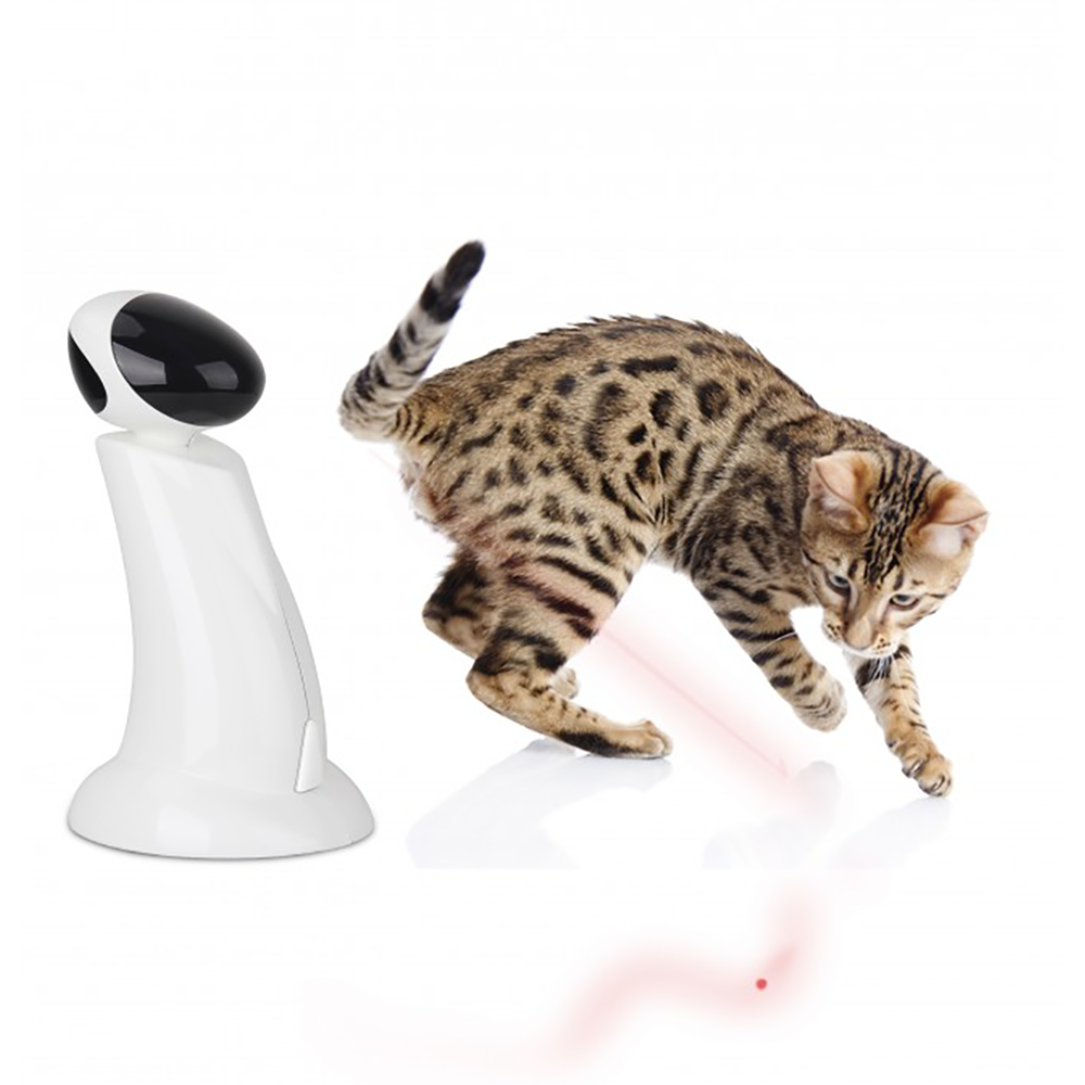 AFP Interactive Laser Beam CatToysInteractive Pet Shop Auckland