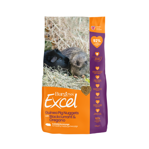 Burgess Excel Guinea Pig Nuggets - Blackcurrant & Oregano