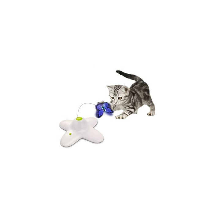 acana appalachian ranch dry cat food ACANA Highest Protein Appalachian Ranch Recipe Dry Dog Food