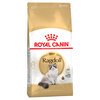 Ragdoll Cat Food