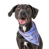 Dog Mesh Bandana