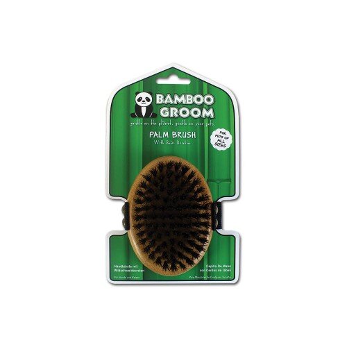 Palm Brush with Boar Bristles DogGroomingBrushes & Combs Pet Shop