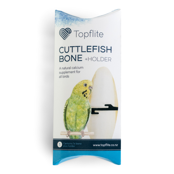 Single Cuttlefish Bone with Holder