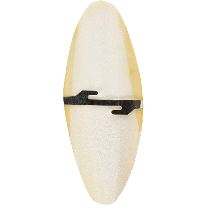 Single Cuttlefish Bone with Holder