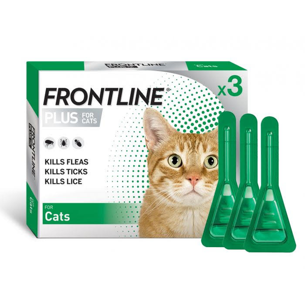 Frontline Cat