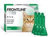Frontline Cat