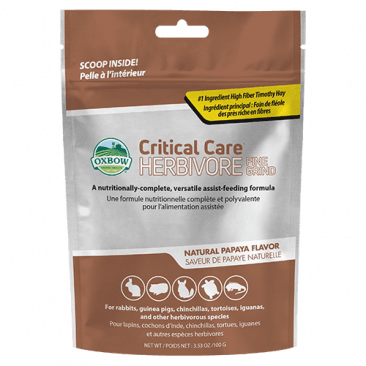 How much critical care for guinea pig outlet