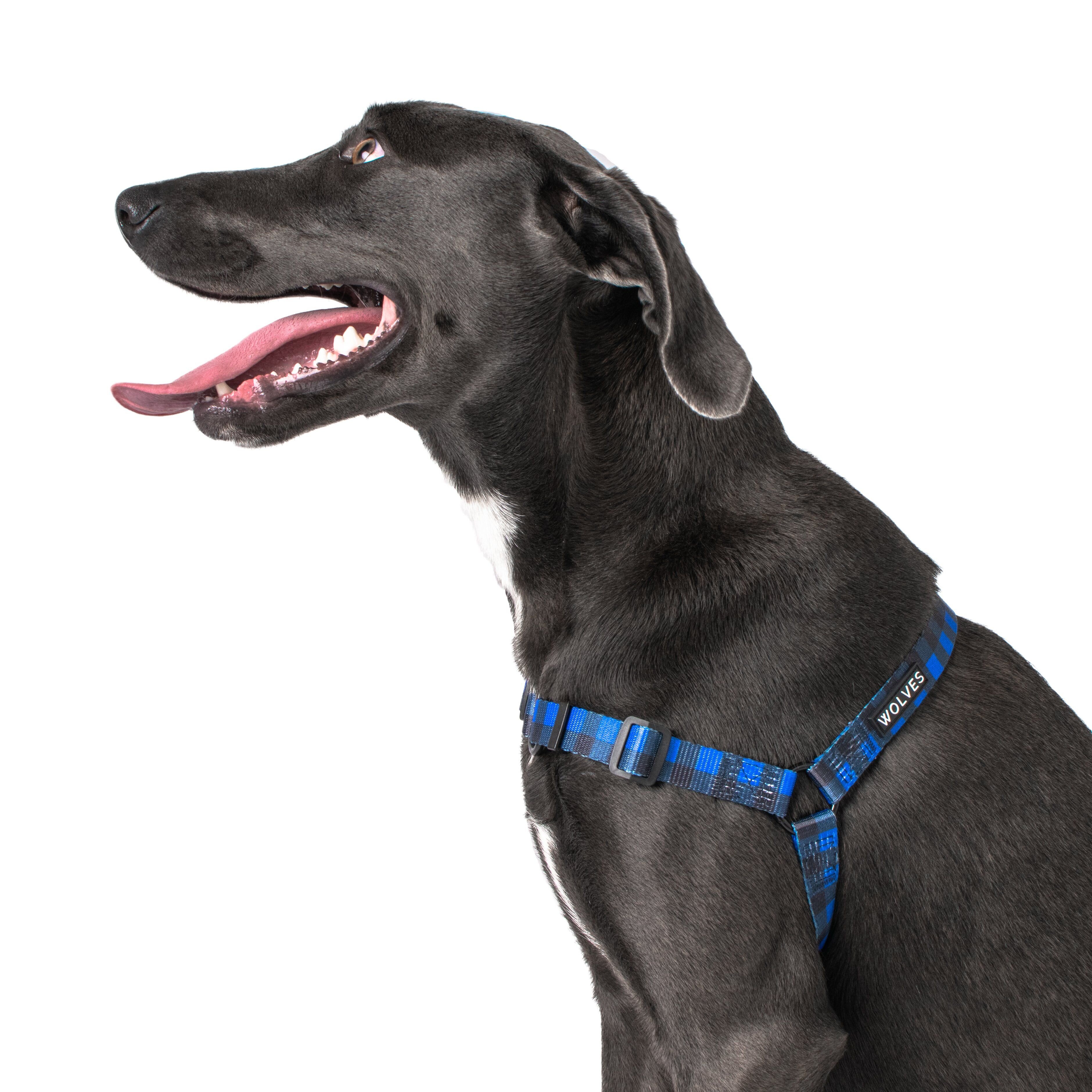 Luey Dog Front Clip Harness DogCollars, Leads & HarnessesHarnesses Pet Shop Auckland Pet