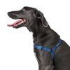 Luey Dog Front Clip Harness