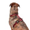 Buffalo Dog All Purpose Harness