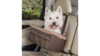 Petsafe Happy Ride Booster Seat 11kg