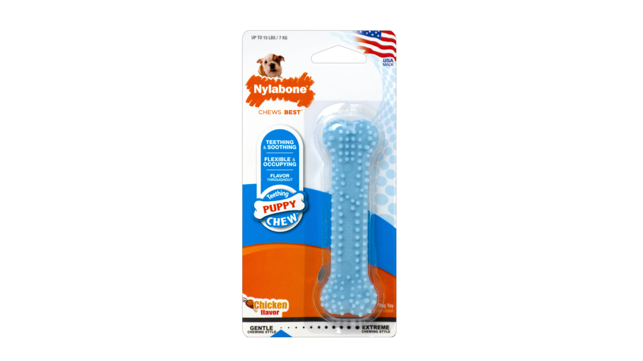 Puppy Dental Chew DogToysChew Pet Shop Auckland Pet.kiwi Nylabone