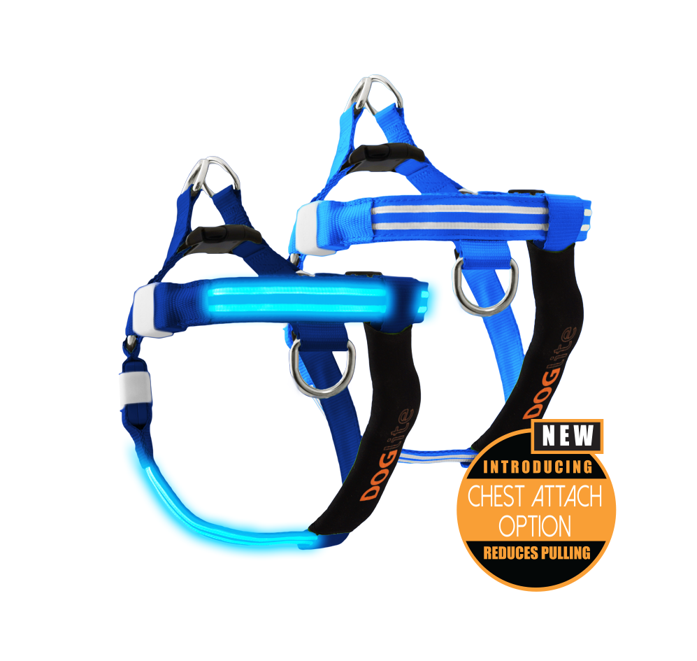 LED Dog Harness DogCollars, Leads & HarnessesHarnesses Pet Shop
