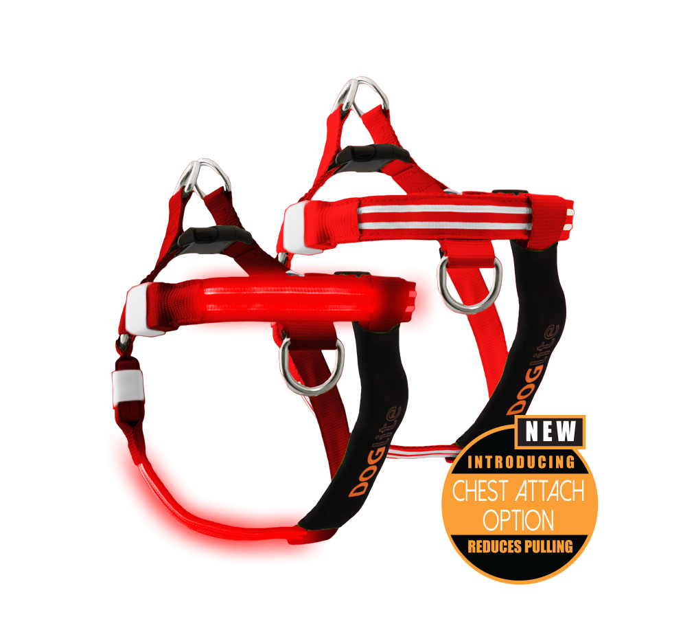 LED Dog Harness Dog Collars Leads Harnesses Harnesses Pet