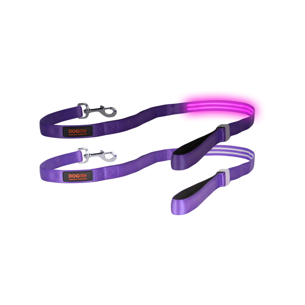 LED Dog Leash DogCollars, Leads & HarnessesLeads Pet Shop