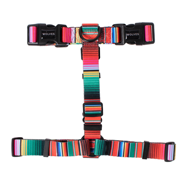 Rayne All Purpose Harness