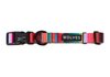 Rayne Dog Collar