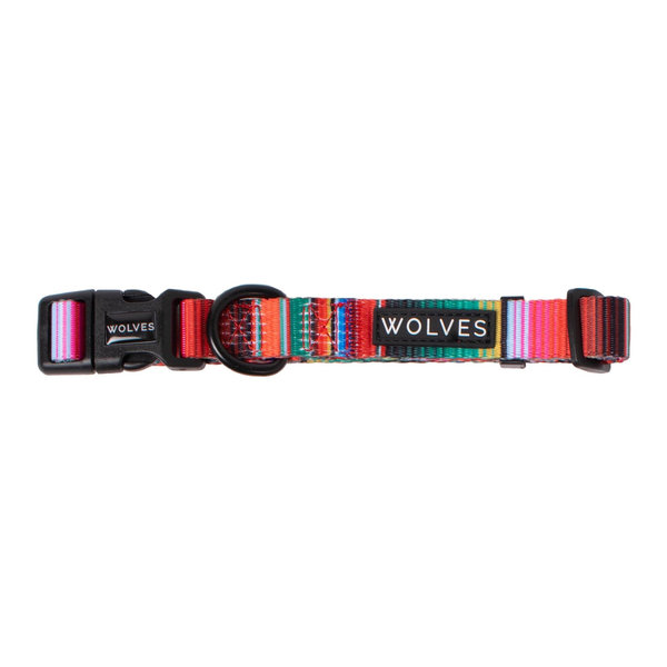 Rayne Dog Collar