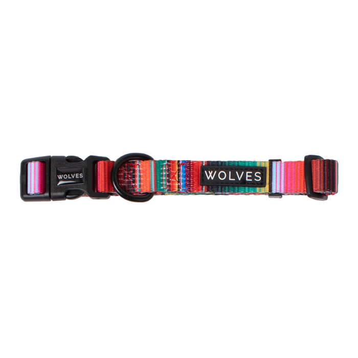 Rayne Dog Collar