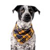 Dog Mesh Bandana