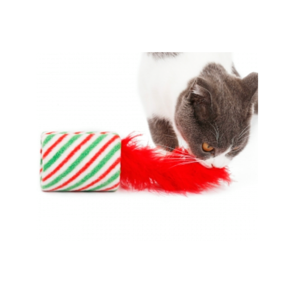 Christmas Kitten Tube Toy