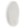 Premium Cuttlefish - Single
