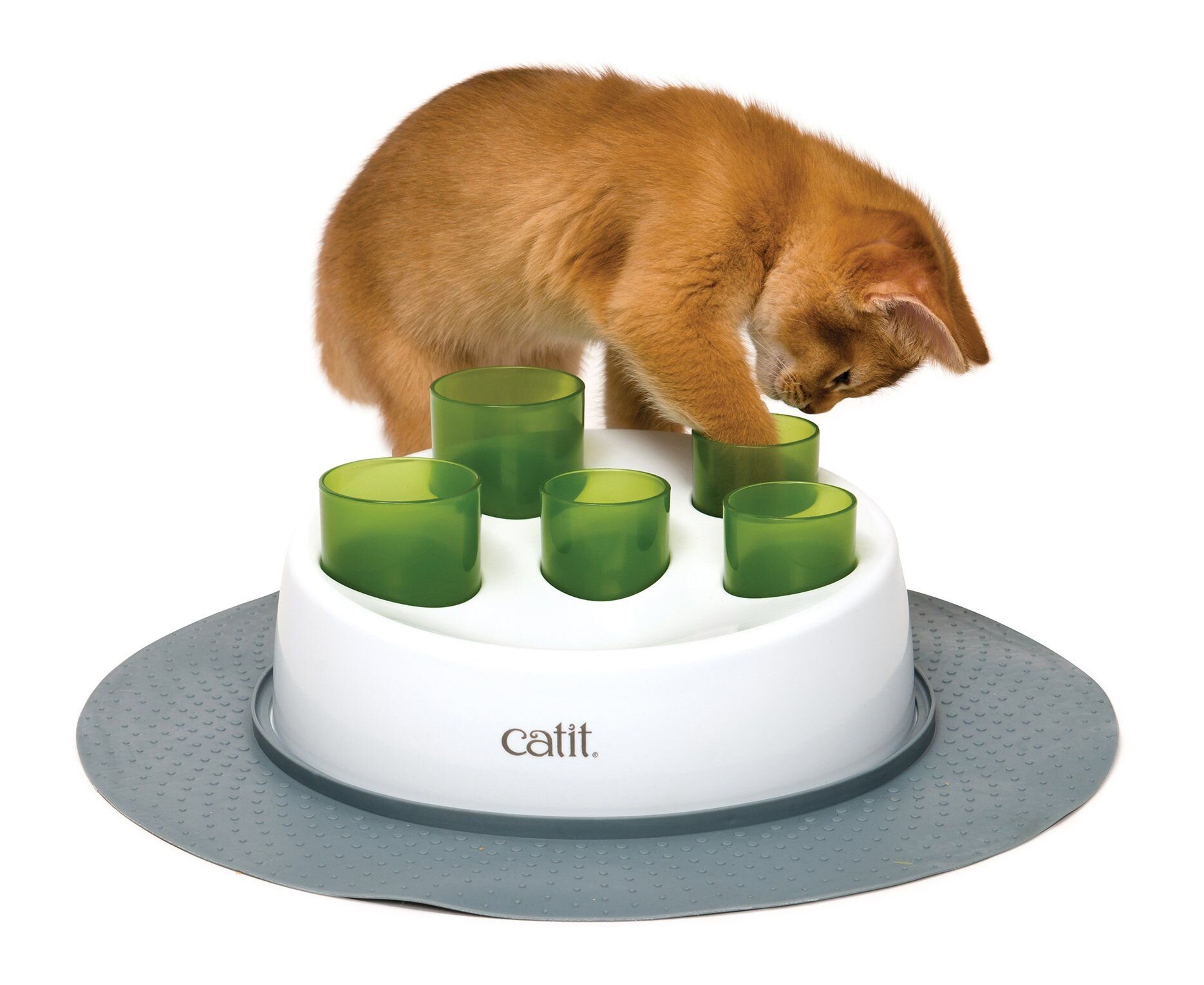 Catit Senses 2.0 Digger CatToysInteractive Pet Shop Auckland
