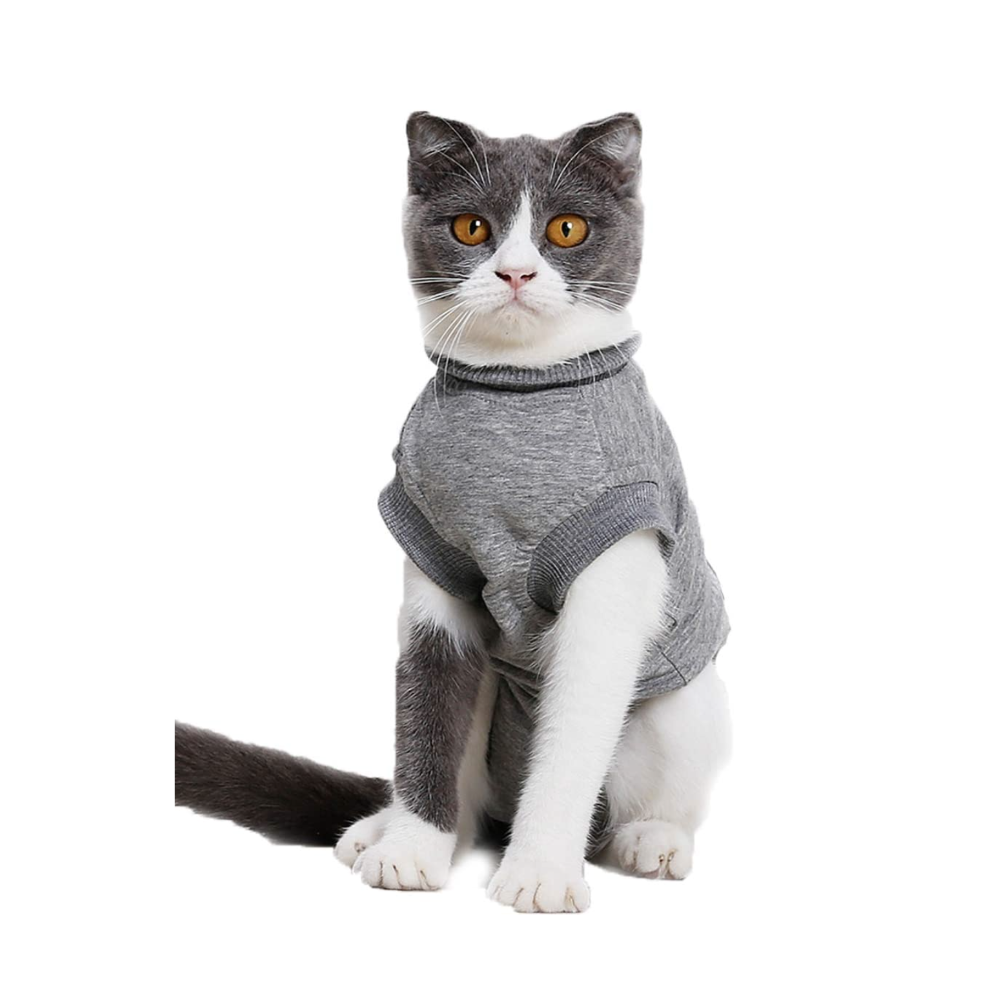 Protective Recovery Cat Body Suit Cat Collars Leads Harnesses Pet Shop Auckland Pet.kiwi