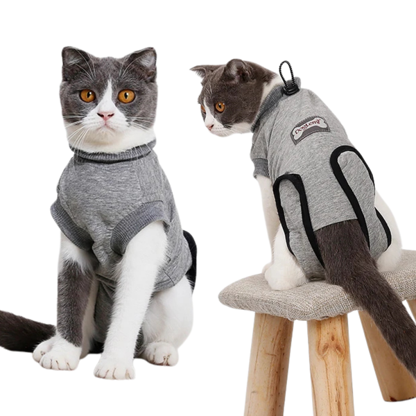 Protective Recovery Cat Body Suit