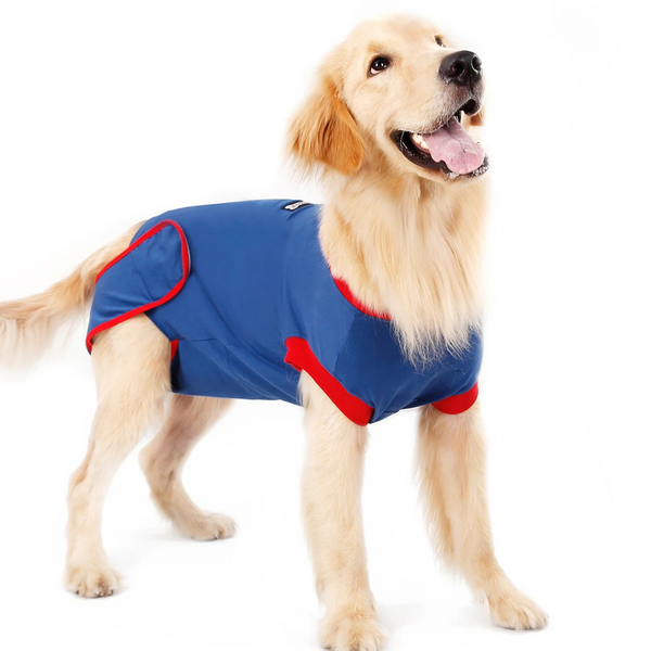 Protective Recovery Dog Body Suit