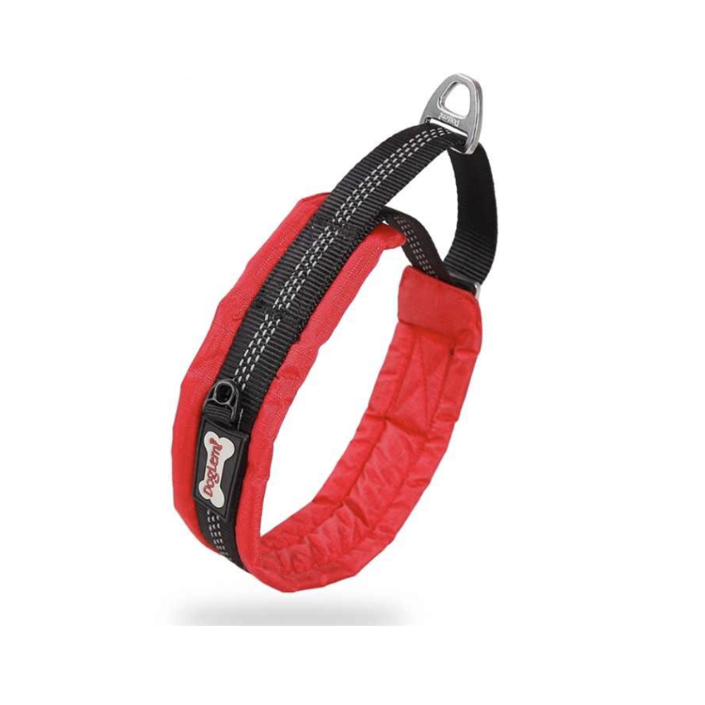 Padded Martingale Collar DogCollars, Leads & HarnessesCollars Pet