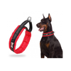 Padded Martingale Collar