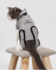 Protective Recovery Cat Body Suit