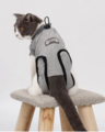 Protective Recovery Cat Body Suit