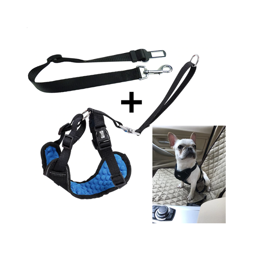 Deluxe Car Safety Harness and Seat Belt DogCollars, Leads