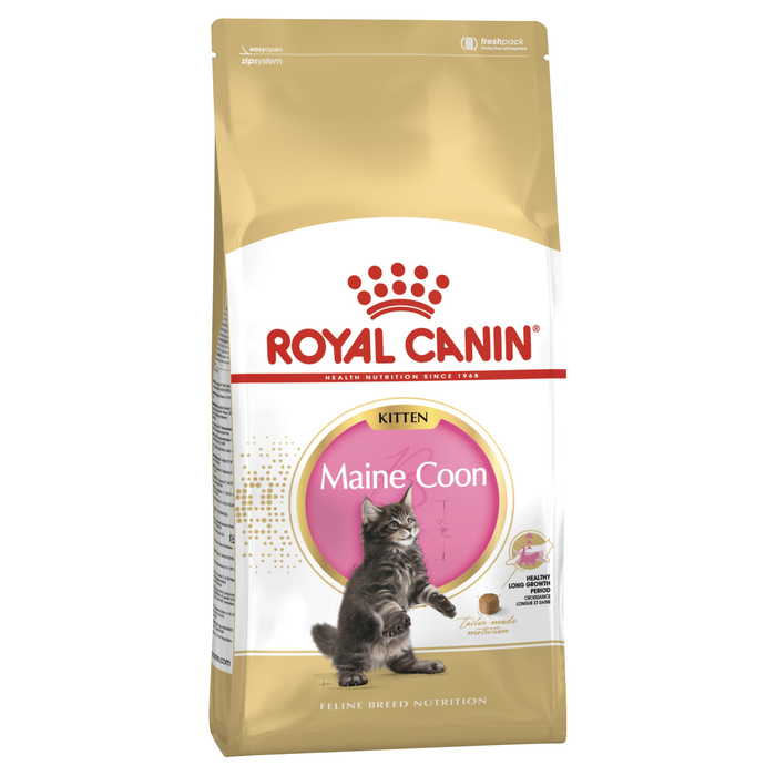 Maine Coon Kitten Food