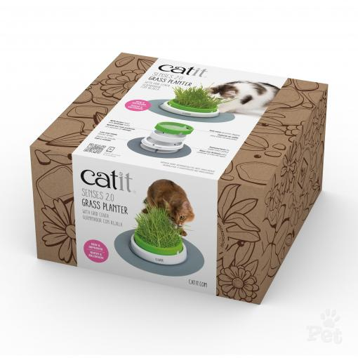 Senses 2.0 Grass Planter