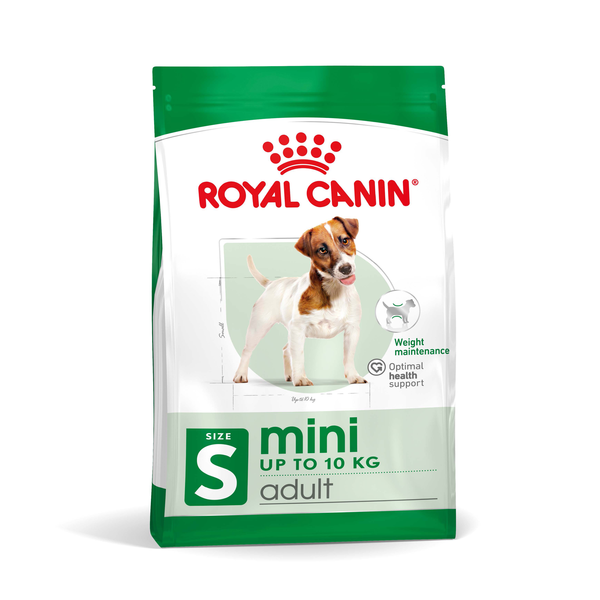 Mini Adult Dog