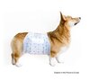 Pet Soft Disposable Male Wraps - Single