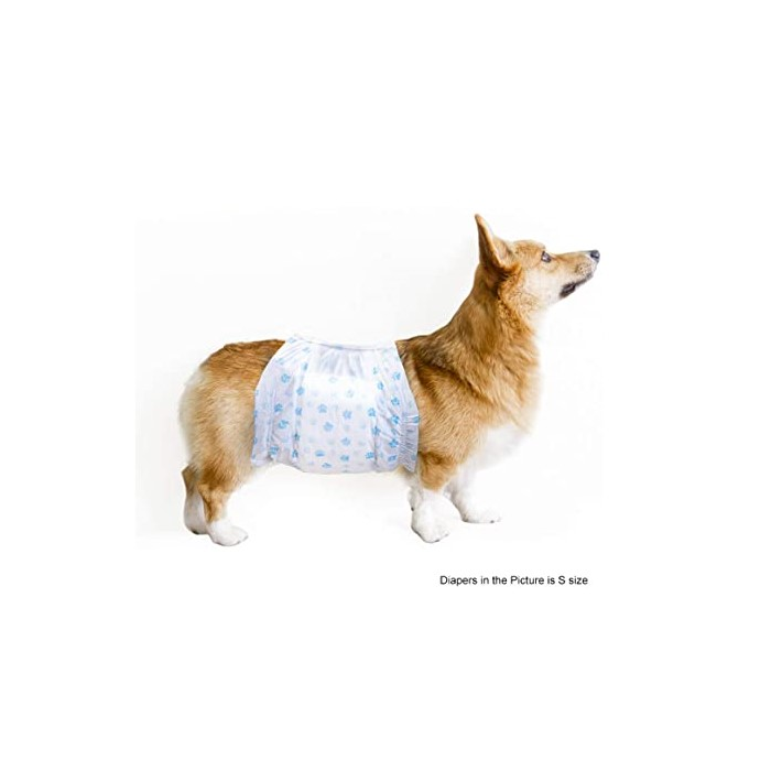 Pet Soft Disposable Male Wraps - Single