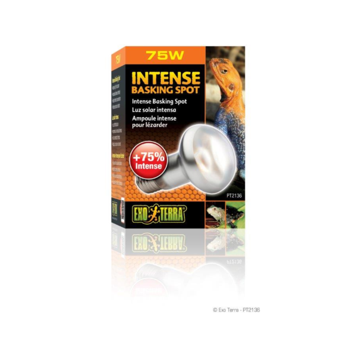 Exo Terra Basking Bulb 75w