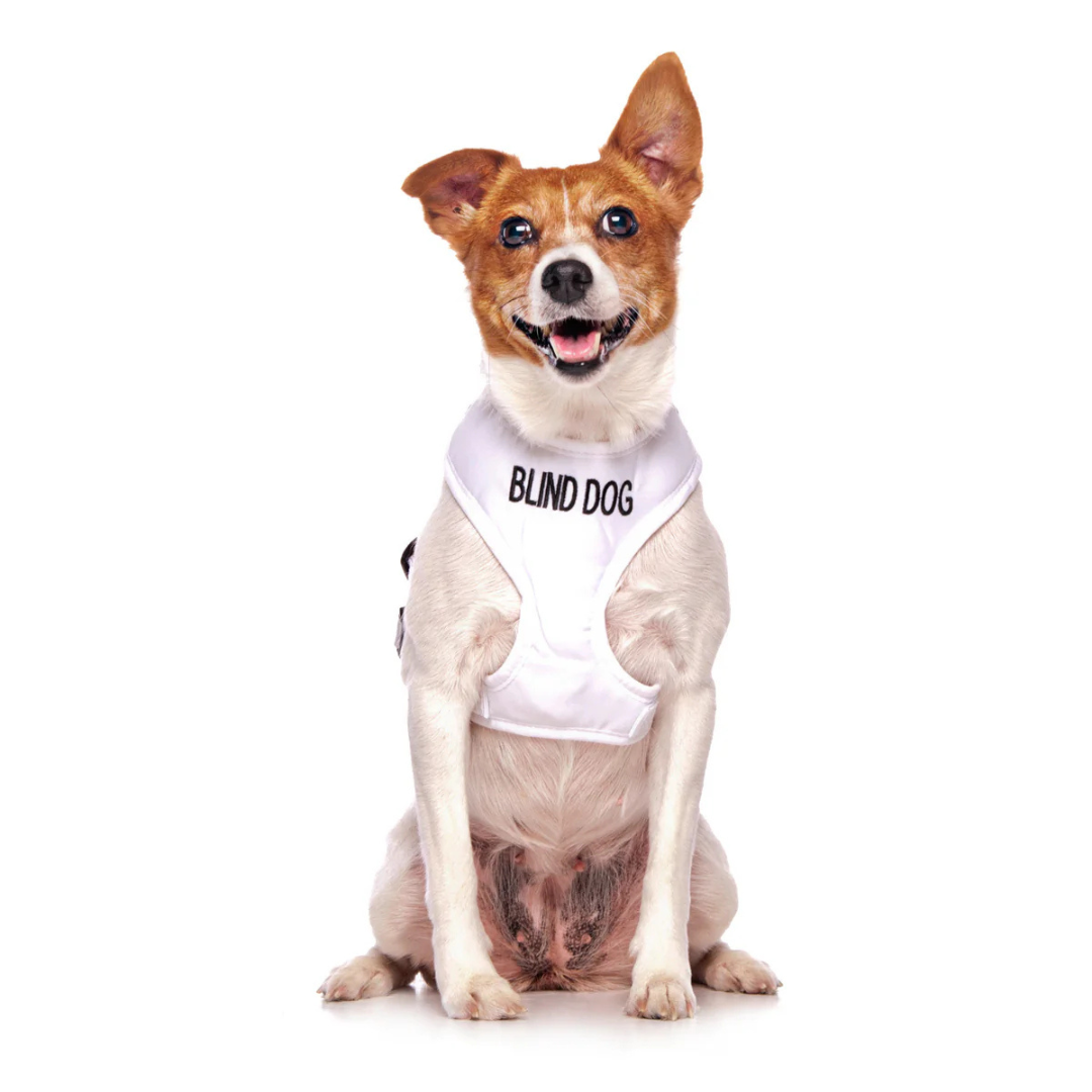 Blind Dog Vest Harness DogCollars, Leads & HarnessesHarnesses Pet