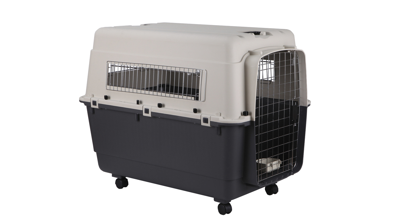 Airline Carrier DogBeds & HousesCarriers Pet Shop Auckland Pet
