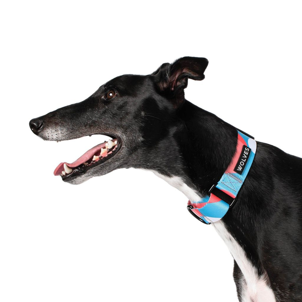 Floss Greyhound Collar