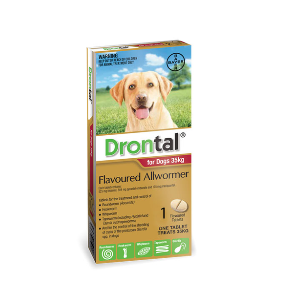 SINGLE TABLET Drontal All Wormer for Dogs up to 35kg 