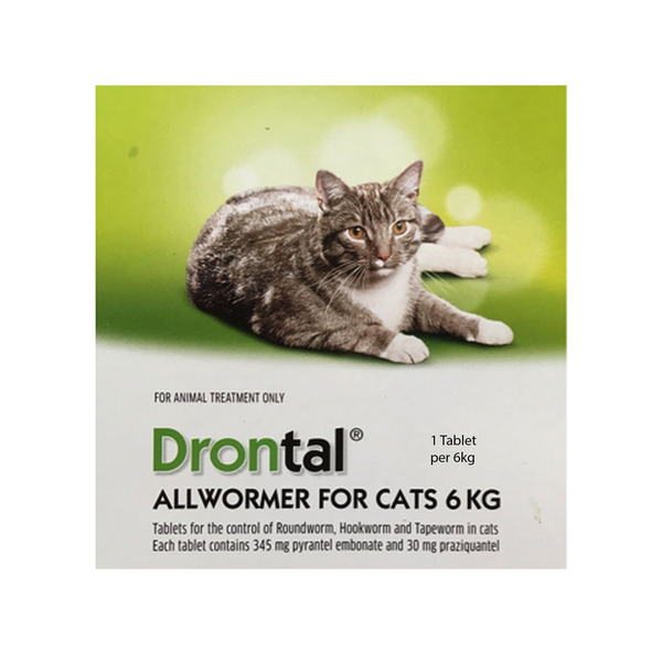 Drontal All Wormer for Cats up to 6kg Single tablet