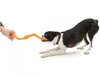 Zogoflex Bumi Dog Toy