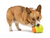 Zogoflex Toppl Dog Toy