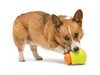 Zogoflex Toppl Dog Toy