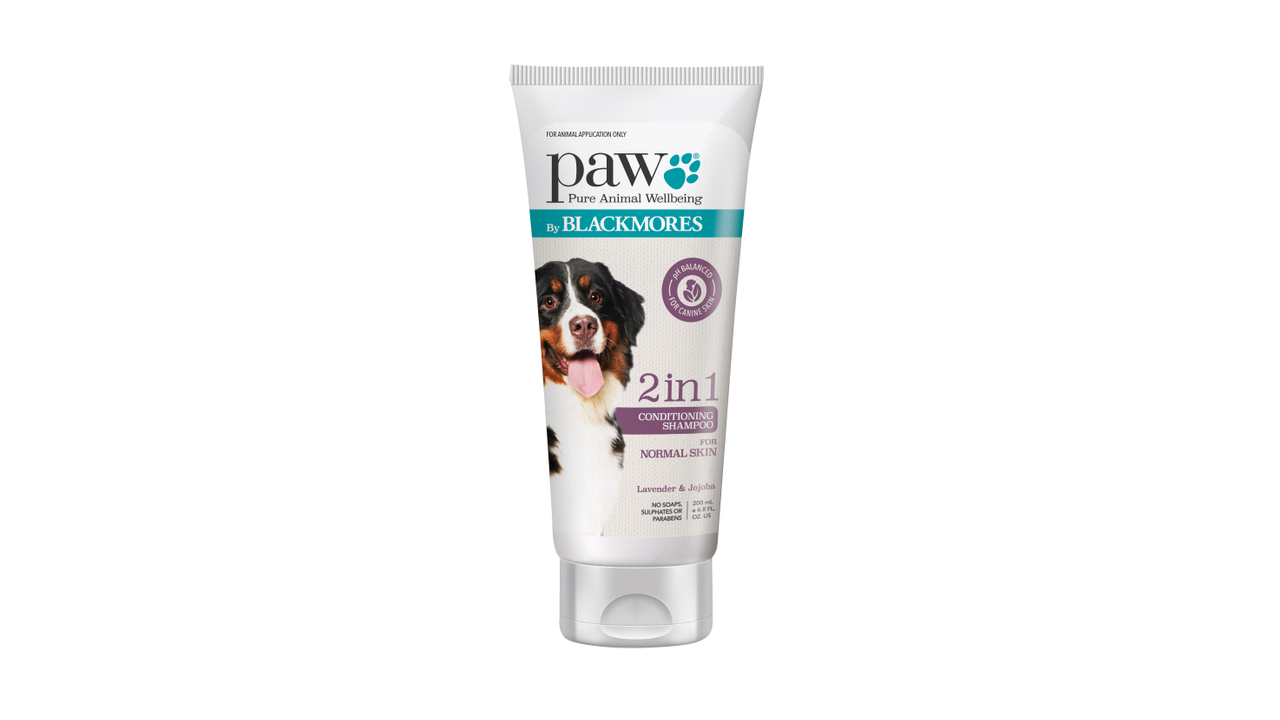 Blackmores Paw 2 in1 Conditioning Shampoo DogGroomingShampoos